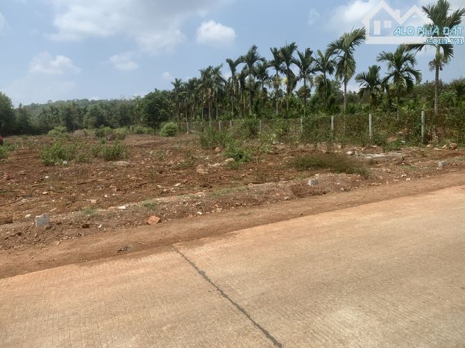Đất full thổ cư Hoà Thắng gần sân bay - 2
