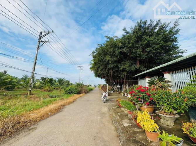 5×24 thổ cư đường ôtô 649 triệu ấp 5 nhị thành_Thủ Thừa Long An giá rẻ - 2