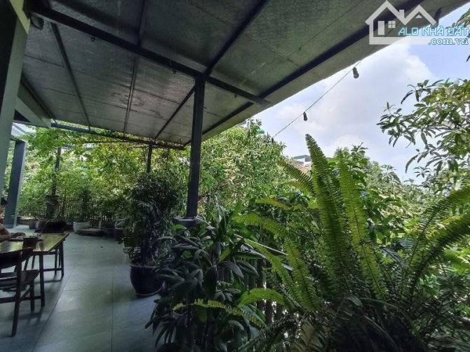 Lô góc mặt đường Yên Xá Tổng cục 5 Tân Triều 120 m2 6 tầng MT 20 m giá 45 tỷ - 2