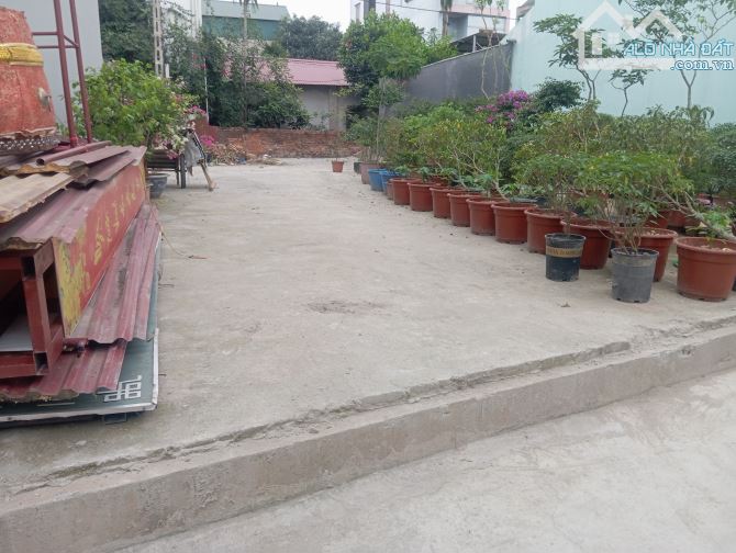 Siêu Phẩm Gần Dự án Cầu Thượng Cát Chủ Mót Bán giá Rẻ Yên Nhân Tiền phong Mê Linh Hà Nội - 2