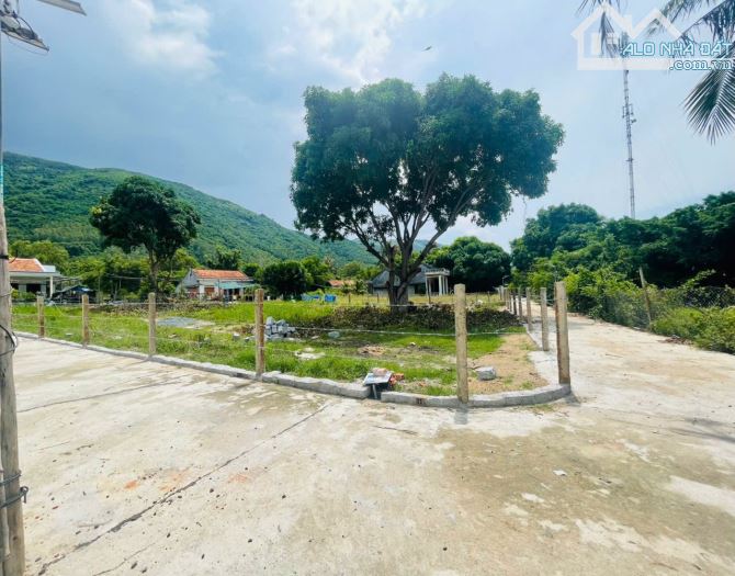 Gần 1000m2 Tân Phước Bắc sẵn đất ở - 1