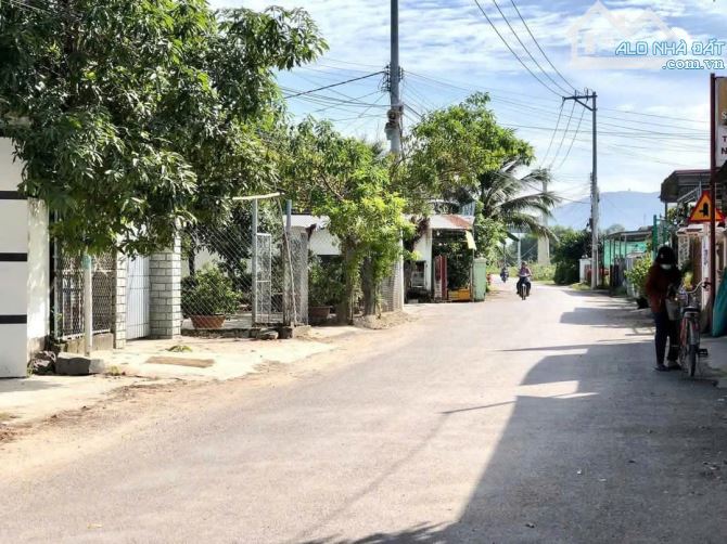 Bán lô 124m2 mặt tiền đường nhựa liên xã Bình Lộc , Diên Khánh - 2
