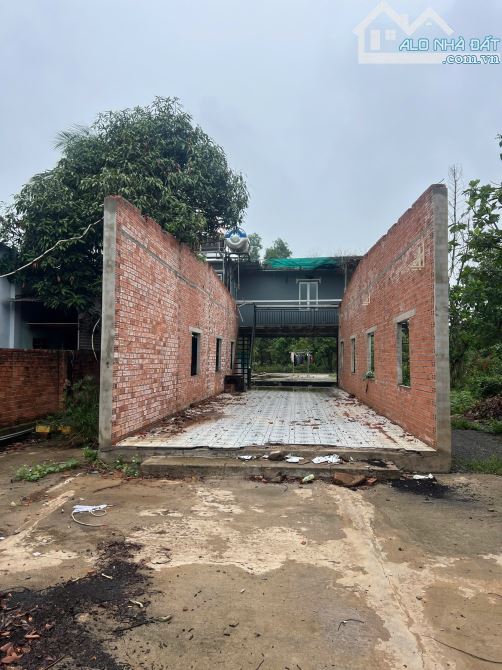 BÁN ĐẤT TẶNG NỀN NHÀ XÂY SẴN 150m2 THỔ CƯ MẶT TIỀN ĐƯỜNG NHỰA ẤP 6 XÃ SÔNG NHẠN CẨM MỸ GIÁ - 2