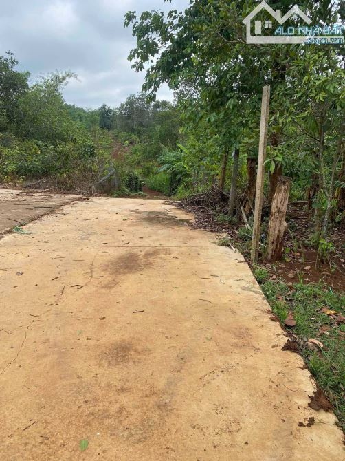 Bán 3,5 sào Ea Kao đất đỏ gần hồ đường bê tông - 2