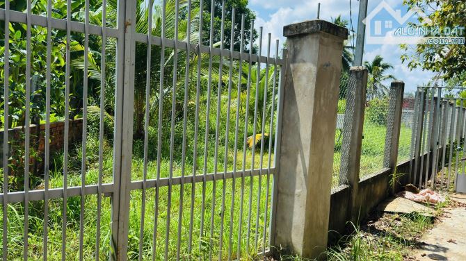 Bán 2 nền liền kề gần 900m2 xã Hữu Định đất sau lưng nghĩa trang Tỉnh Bến Tre - 2
