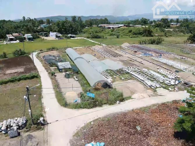 400triệu sở hữu được lô đất trồng cây gần dân cư - 2