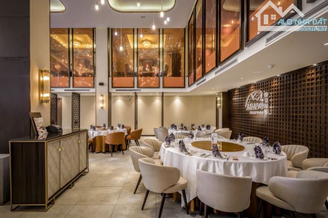 VIP- BIỆT THỰ MẶT TIỀN NGUYỄN ĐÌNH CHIỂU - 29M X 36M - 4 TẦNG- P. VÕ THỊ SÁU, QUẬN 3 - 3