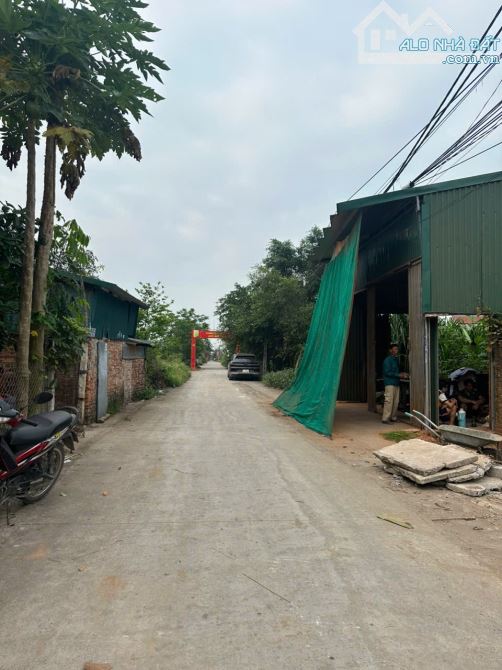 Trục chính đường cả Tân dân Phú xuyên rất đẹp - 3
