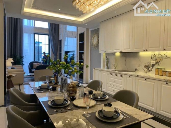 Siêu phẩm nhà đẹp ở sướng kinh doanh đỉnh mặt phố Đàm Quang Trung DT 89m2 . Giá 30.5 tỷ - 3