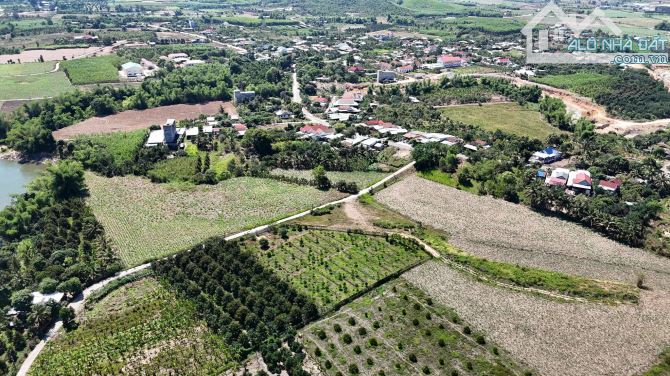 bán 4.300m2 quy haochj full thổ cư có sẵn vườn trái cây giá rẻ xã Sông Cầu, Khánh Vĩnh - 3