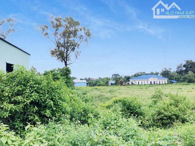 D202 Bán Đất gần chợ phú sơn, Bắc Sơn-TB. 986m2. SHR, QHTC. chỉ 2ty7. - 3