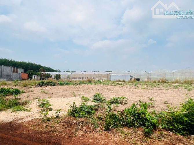 Cần bán gấp miếng đất nằm vị trí đẹp - 3