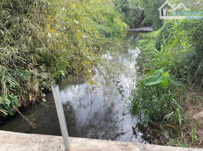 Bán đất giáp suối nước tặng nhà vườn xã Bình Ba, Châu Đức, Bà Rịa Vũng Tàu - 3
