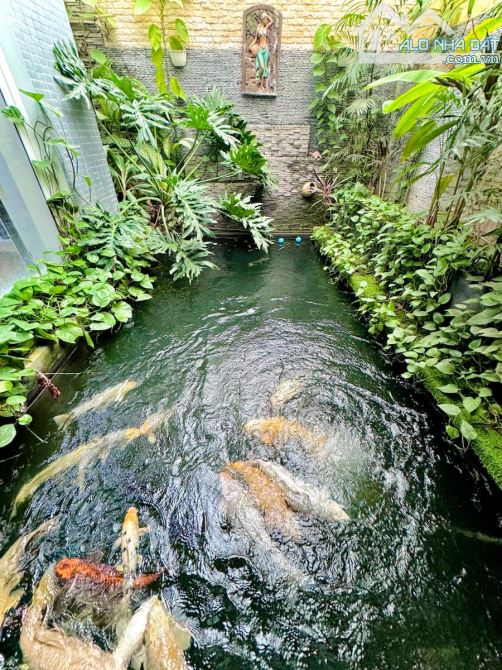 Bán Đất Biệt Thự Cổ Linh View Hồ 512m2 MT 14,5m Hậu 16m. 3 Ô Tô Tránh, Vỉa Hè,  Kinh Doanh - 3
