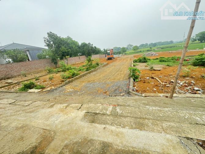 Đón sóng metro 5 và Vingroup Hàng F0 dân cắt ra bán 100m mặt tiền 8m tại Đồng Trúc - 3