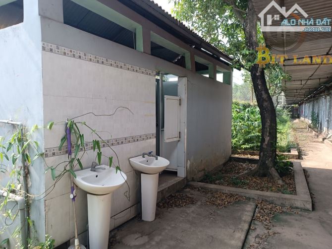 Cho thuê xưởng 7000m2 chỉ 200tr, PCCC nghiệm thu, điện 400kva - 3