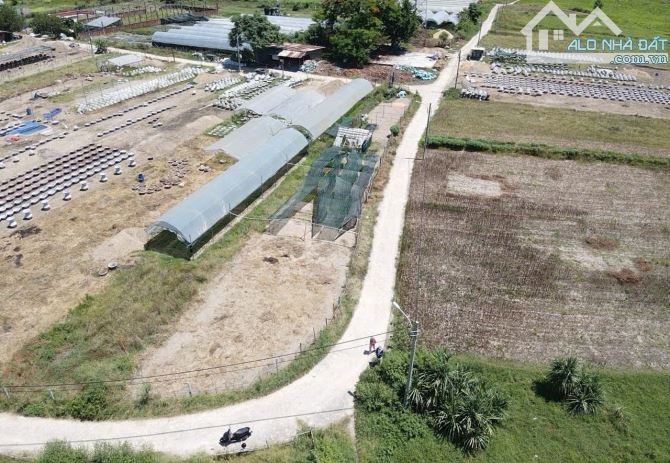 400triệu sở hữu được lô đất trồng cây gần dân cư - 3