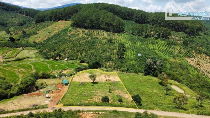 ✈️ Bán gấp 2900m2 tại Di Linh, Lâm Đồng. - 4