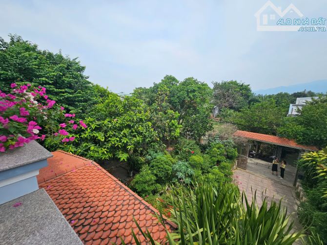 Giảm 500 triệu, cần bán gấp nhà vườn rộng Gần 500m2: 6.7 tỷ ở Vĩnh Trung - 4