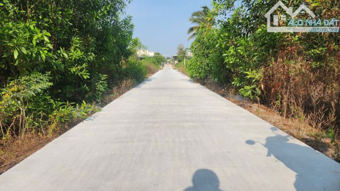 🔥10X42 (432m2) - 1,5 TỶ SÁT BIỂN, KHU DÂN CƯ, ĐƯỜNG OTO TÂN PHƯỚC - LAGI - 4