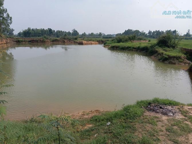 Bán gấp lô đất Siêu Hiếm 9800m² tại thôn Thắng Trí  - Minh Trí - Sóc Sơn; chỉ 75 tỷ, - 4