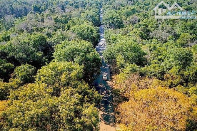 LÔ ĐẤT ĐẸP BIỂN HỒ TRÀM, SẴN THỔ CƯ, GẦN CAO TỐC LONG THÀNH-HỒ TRÀM, GIÁ TỐT NHẤT KHU VỰC - 4