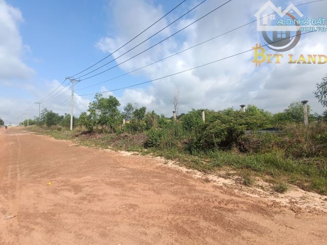 Bán đất sản xuất tại Đồng Nai, chỉ 4 triệu/m2, phù hợp làm kho xưởng - 4
