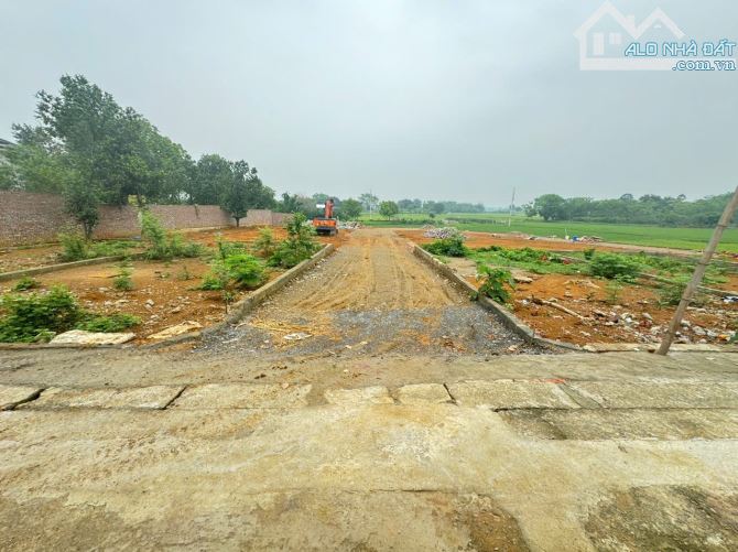 Đón sóng metro 5 và Vingroup Hàng F0 dân cắt ra bán 100m mặt tiền 8m tại Đồng Trúc - 4