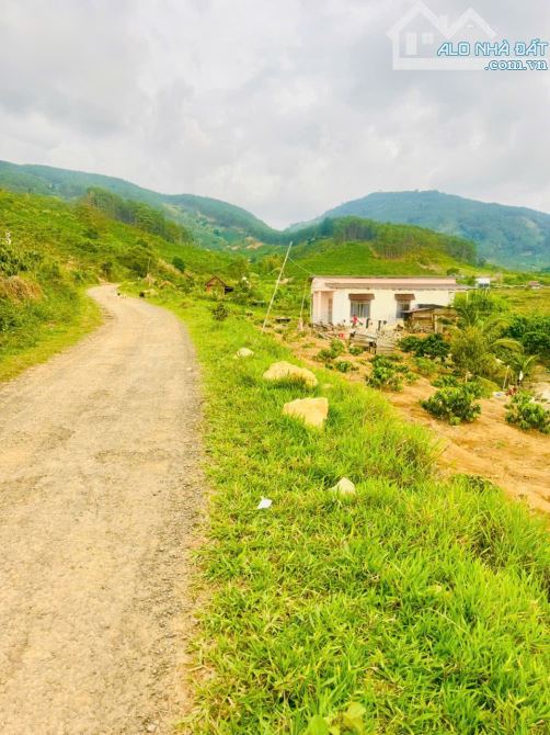 ✈️ Bán gấp 2900m2 tại Di Linh, Lâm Đồng. - 5