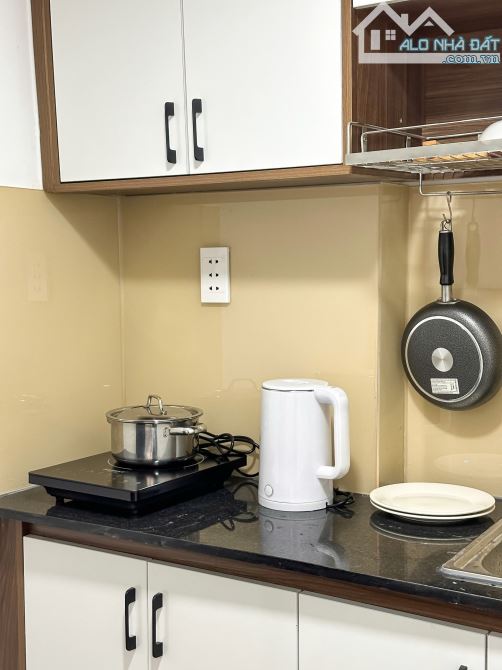 Căn hộ cao cấp mặt tiền đường trần hưng đạo quận 5 gần cầu chữ Y - 5