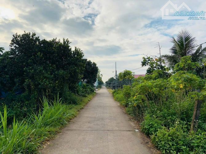 5×24 thổ cư đường ôtô 649 triệu ấp 5 nhị thành_Thủ Thừa Long An giá rẻ - 5