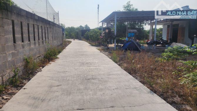 🔥10X42 (432m2) - 1,5 TỶ SÁT BIỂN, KHU DÂN CƯ, ĐƯỜNG OTO TÂN PHƯỚC - LAGI - 5