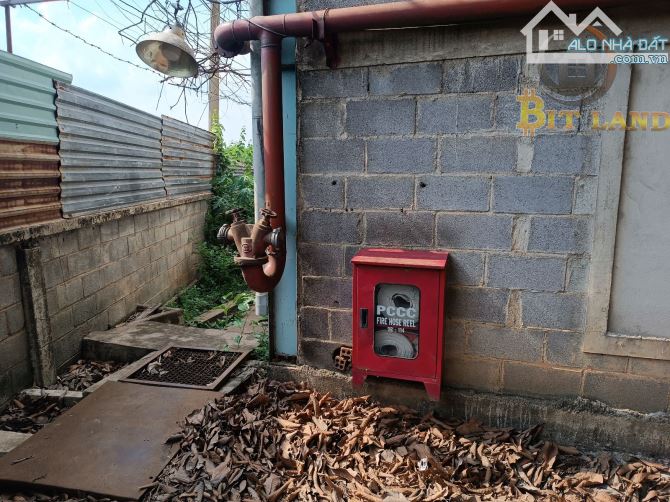 Cho thuê xưởng 7000m2 chỉ 200tr, PCCC nghiệm thu, điện 400kva - 5