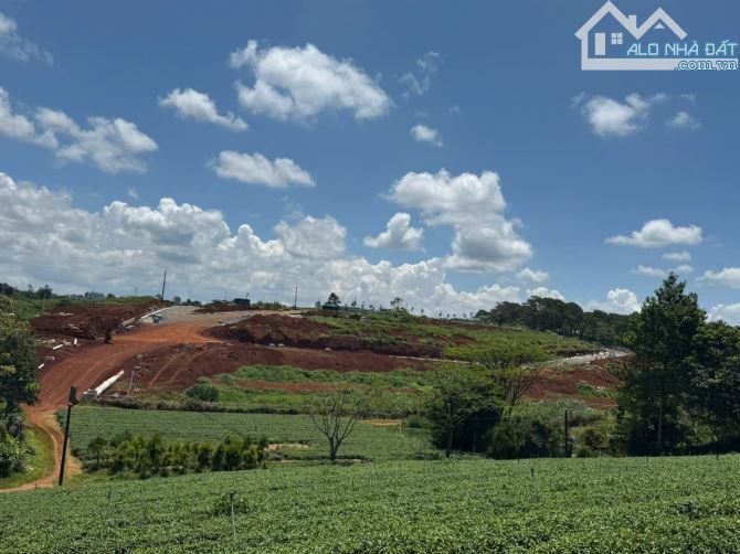 [BẢO_LỘC-LÂM_ĐỒNG] LÔ ĐẤT VÀNG HƠN 7000M² ĐẤT VỚI 1000M THỔ CƯ. GẦN THÁC DAM BRI - hơn 25 - 6