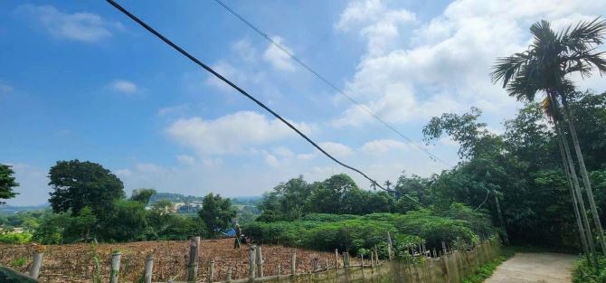 Hót! rẻ nhất thị trường chủ cần bán 1723m-400tc giá chỉ hơn 4tr/m, sổ bám mặt đường 50m - 6