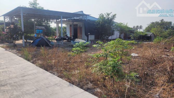 🔥10X42 (432m2) - 1,5 TỶ SÁT BIỂN, KHU DÂN CƯ, ĐƯỜNG OTO TÂN PHƯỚC - LAGI - 6