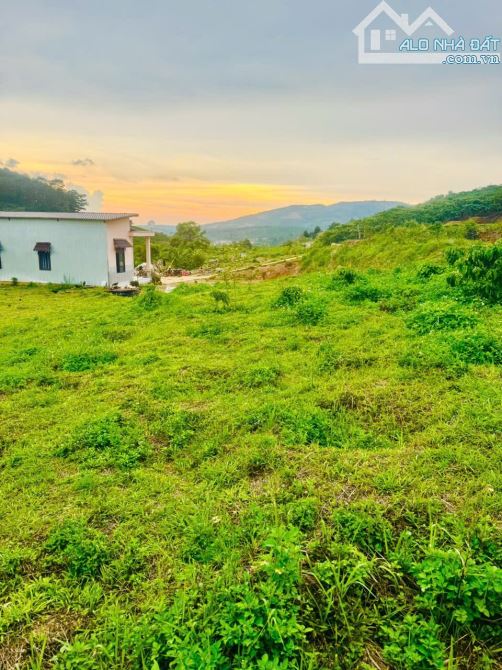 ✈️ Bán gấp 2900m2 tại Di Linh, Lâm Đồng. - 7
