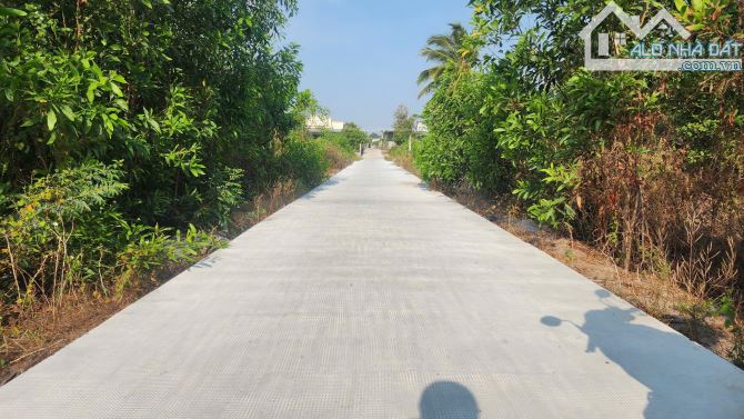 🔥10X42 (432m2) - 1,5 TỶ SÁT BIỂN, KHU DÂN CƯ, ĐƯỜNG OTO TÂN PHƯỚC - LAGI - 7