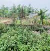 Bán lô đấu giá X8 Nguyên Khê - Đông Anh  78.8m  qui hoạch ổn định mãi mãi đường  thông