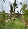 Đất cách sân bay Liên Khương, Đức Trọng chỉ 6km, sẵn nhà nhỏ xinh view đẹp giá chỉ 2tỷ9