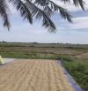 Bán lô đất view lúa tuyệt đẹp ngay trung tâm Hội An