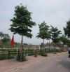 Tài chính hơn 3 tỷ mà 50m2 -  Ô TÔ  - NGÕ CỰC NÔNG  - TIỆN ÍCH ĐỦ CẢ Ở Gia Lâm.