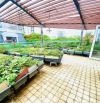 Bán biệt thự khu đô thị Dịch Vọng Cầu Giấy, 268m2, mặt tiền 15m, rất gần công viên, 72 tỷ