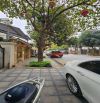 Bán biệt thự liền kề khu A Gleximco, Lê Trọng Tấn 120m2, 29 tỷ