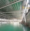 CHO THUÊ KHO CHỨA HÀNG 6.000M² TẠI KCN TAM PHƯỚC, BIÊN HOÀ .4 usd/m2/tháng
