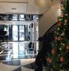 Bán khách sạn Phố cổ,  mặt phố Hàng Bè, Cầu Gỗ 160m2, 11 tầng, 4 sao, tuyệt đẹp, 169 tỷ.