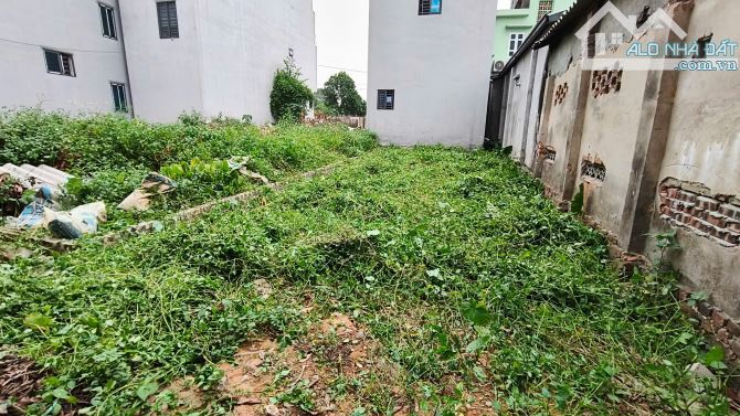 thôn Tằng My. sát bìa làng. cách VĐ3 chỉ 400m. full thổ. 55tr/m2 - 4