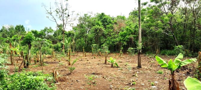 Cho Thuê Đất Hẻm Ô Tô, 1570m2(rộng 27m x dài 60m), Gia Canh Định Quán, Đồng Nai, Giá (TL)