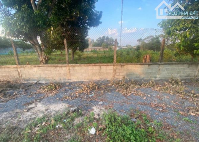 GIẢM GIÁ MẠNH LÔ ĐẤT Ở TÂN THÔNG HỘI CỦ CHI 133M2 GIÁ 500 TRIỆU
