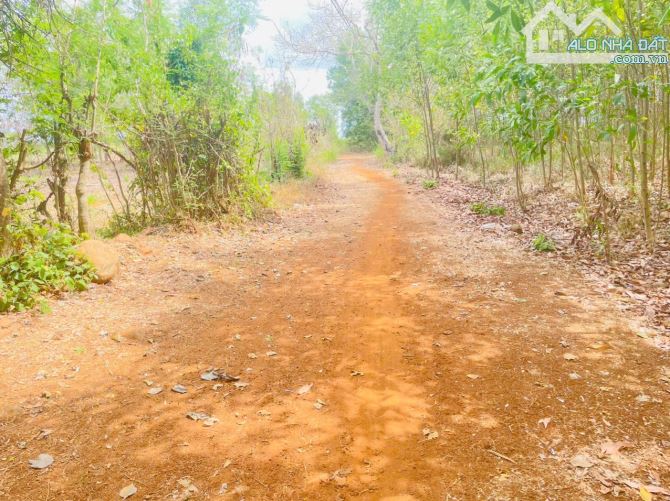 BÁN 3.000M2 50X70M XÃ LONG TÂN ,LONG ĐẤT . Cách nhựa hồ lồ ô chỉ 100m